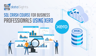 SQL Crash Course for Business Professionals using Xero data: Create a Game-Changing Sales Analysis View