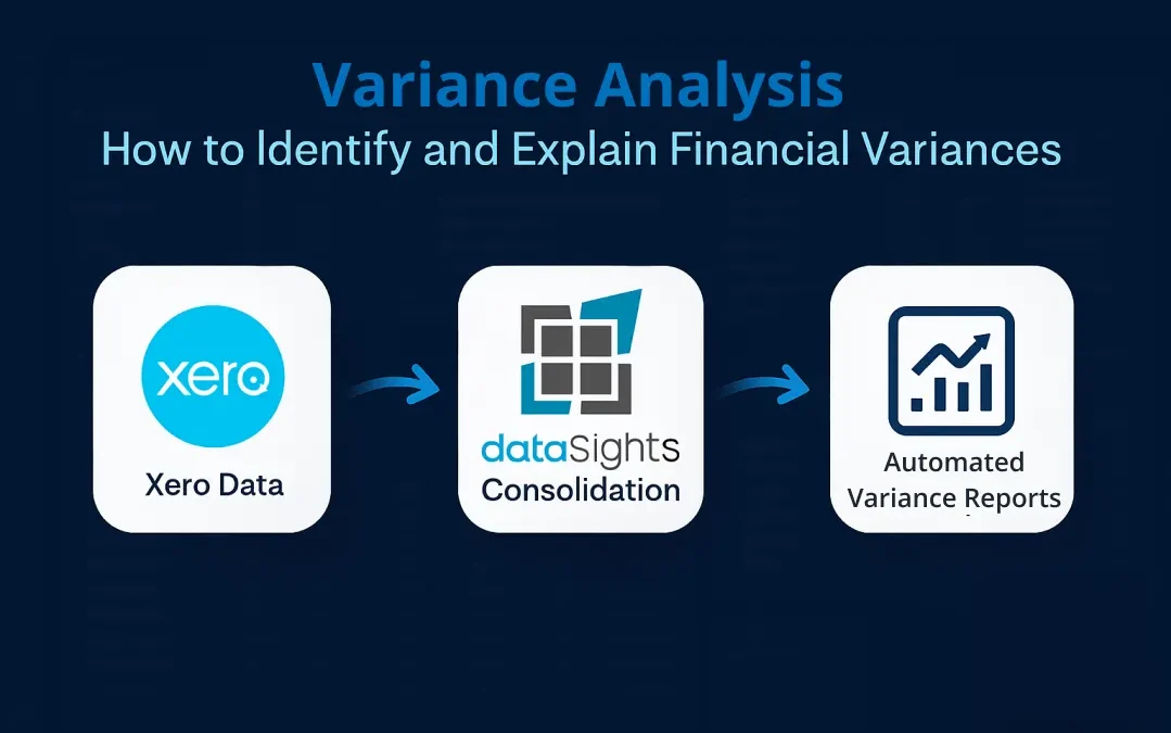 Variance Analysis: How to Identify and Explain P&L and Balance Sheet Variances Across Your Business